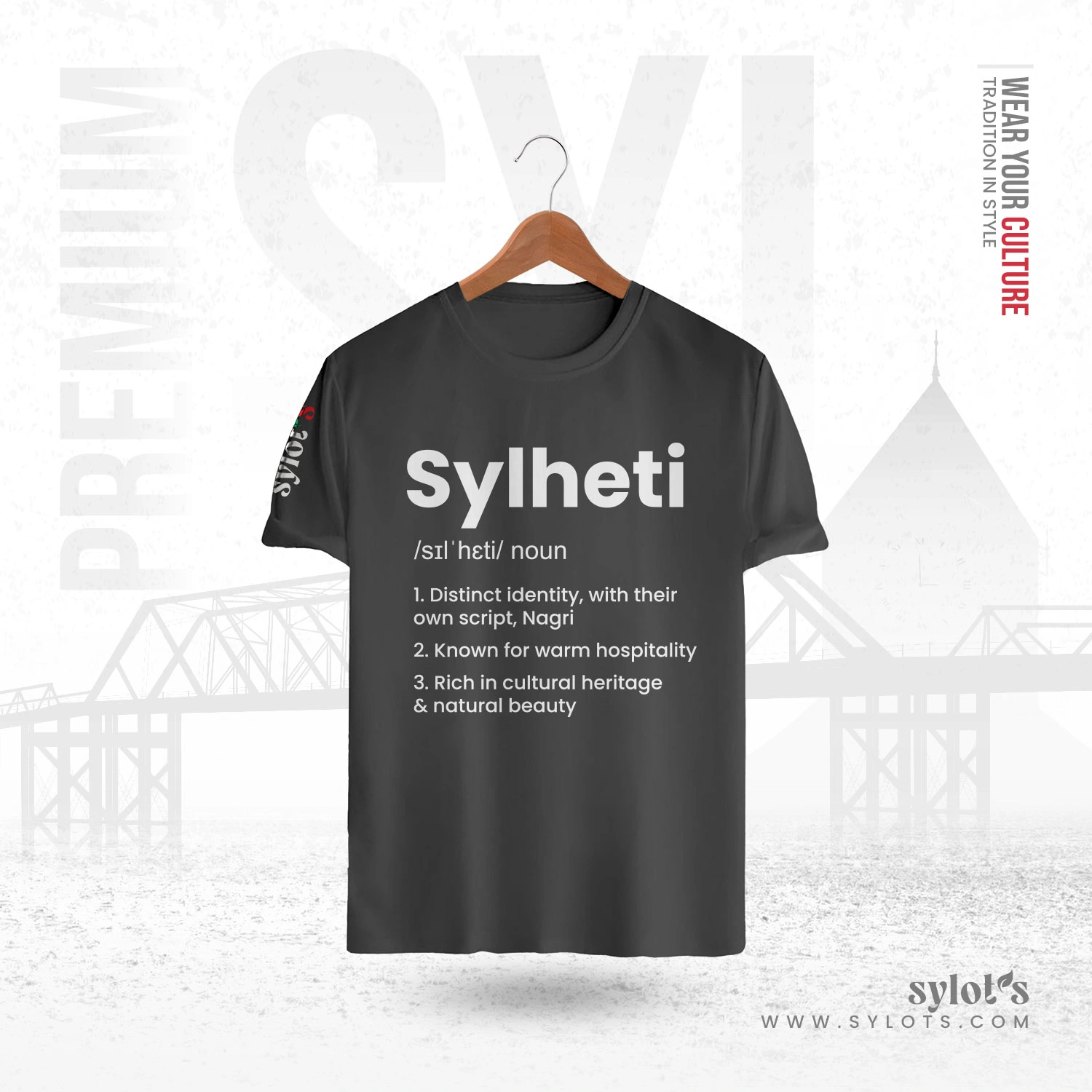 Gray-01 Sylheti /sɪlˈhɛti/ Definition | Premium Gray T-shirt - Image 1